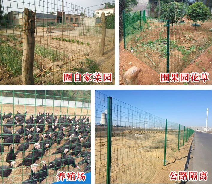 <b>問：散養野雞場綠（lǜ）色鐵絲網能用幾年？</b>