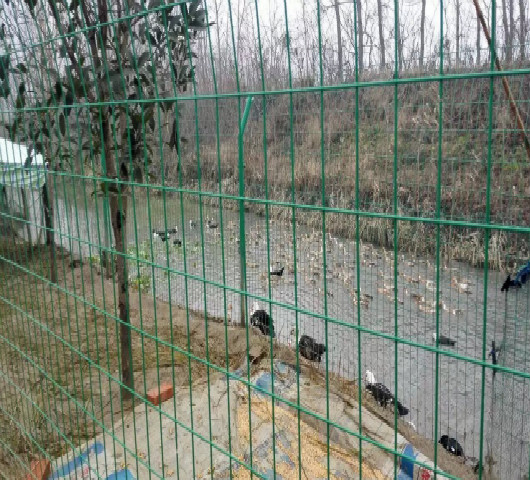 娌（lǐ）衝崡姘村簱鎶ゆ爮緗戜紭