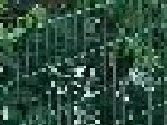 <b>武漢護欄廠家淺述網片柵欄如何安（ān）裝</b>